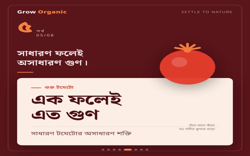 পর্ব ৫ — গুরু টমেটো: এক ফলেই এত গুণ